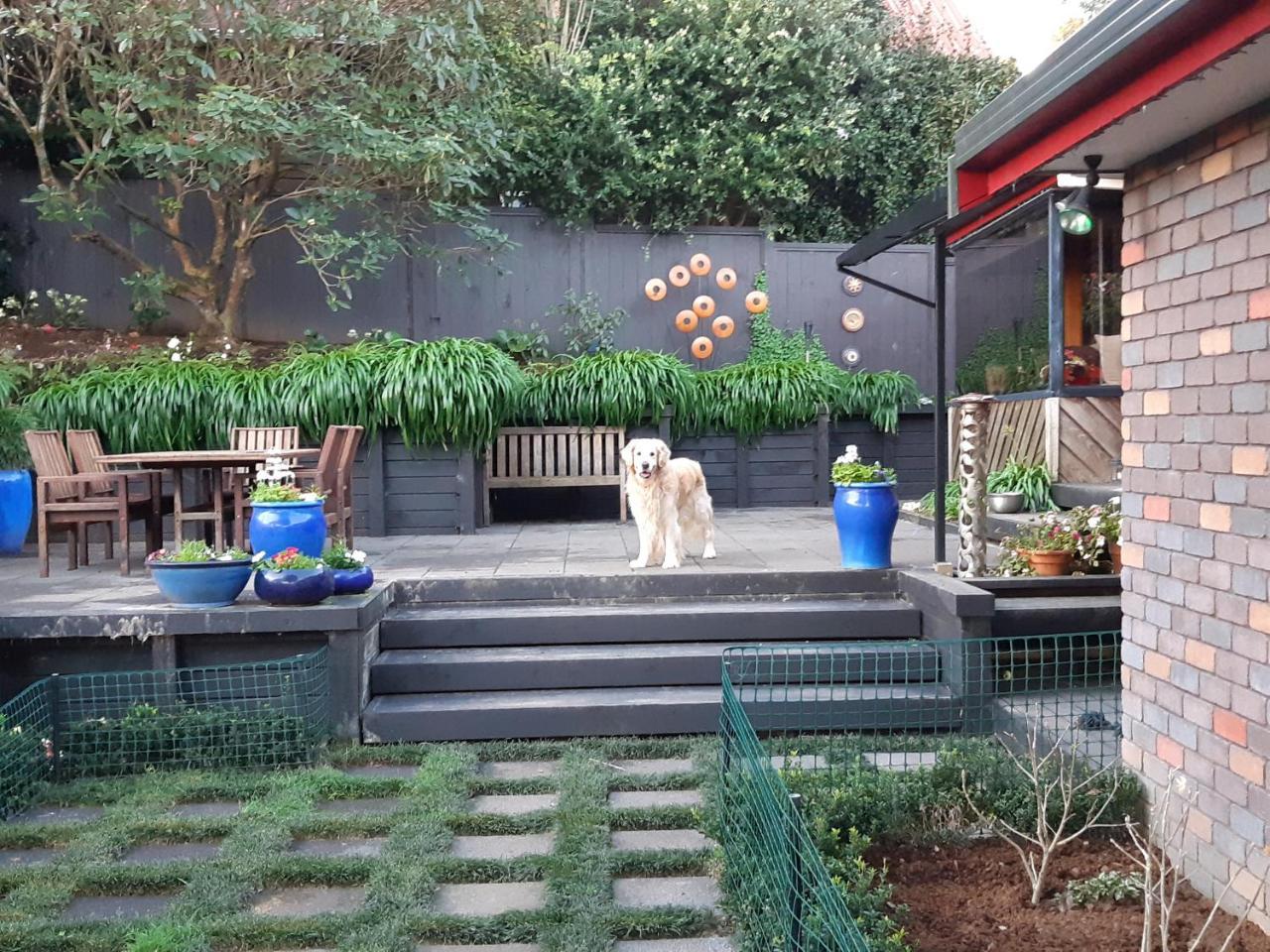 Sequoia Steps Bed and Breakfast New Plymouth Buitenkant foto