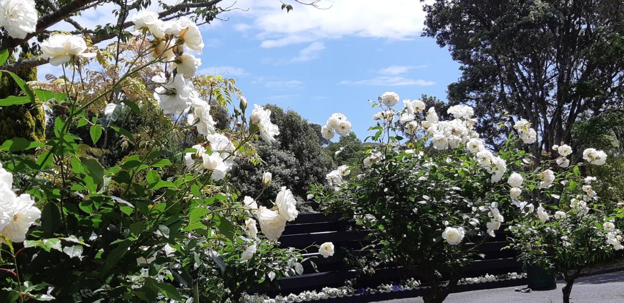 Sequoia Steps Bed and Breakfast New Plymouth Buitenkant foto